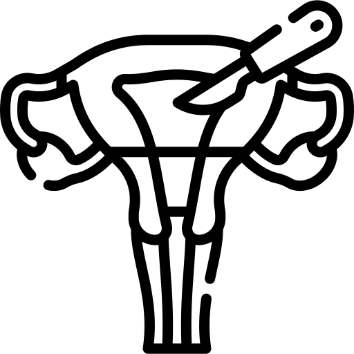 hysterectomy_8670724